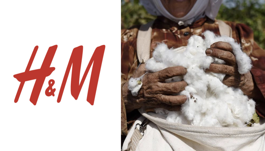 「新疆棉」迅速霸佔個大版面，多位藝人與品牌結束合作關係，剛復出的羅志祥由黑轉紅？H&M新疆棉始末延燒看這邊！