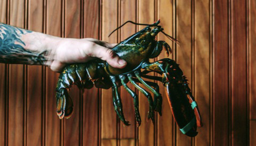 英國宣佈立法禁止「活煮」甲殼類動物 那以後要怎麼吃螃蟹火鍋