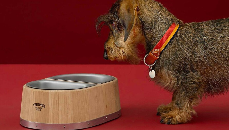 所以現在連吃飯的碗都要輸給狗狗了？！Hermès 要價 $1,125 美元寵物餐碗，可以買來給自己用嗎？
