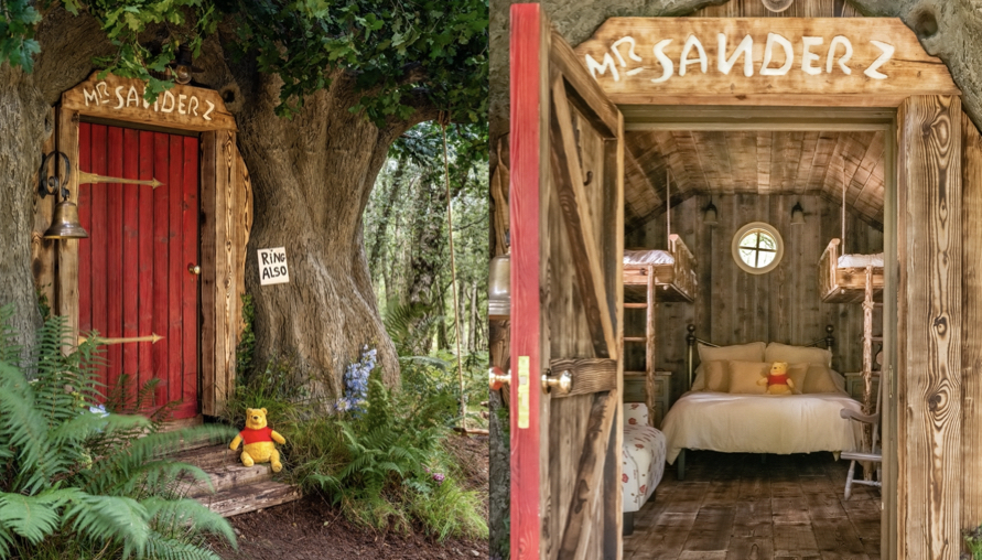 百畝森林的樹屋出現拉！迪士尼經典動畫《小熊維尼Winnie the Pooh》Airbnb打造維尼的家 真實還原還能入住：秒殺！